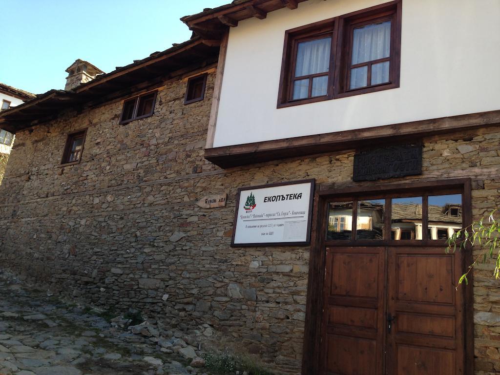 Ristevata Guest House Kovačevica Extérieur photo